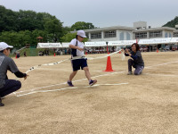 ななみかけっこ